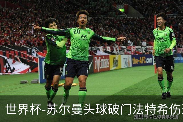 世界杯-苏尔曼头球破门法特希伤退 半场新西兰1-0埃及